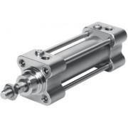 Пневмоцилиндр Festo CRDNGS-100